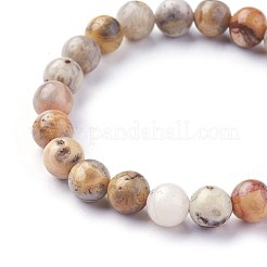 Perles d'agate naturel fou bracelets stretch&nbsp;BJEW-F380-01-B06