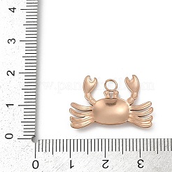 Ionenplattierung (IP) 304 Edelstahlanhänger&nbsp;STAS-E182-08RG