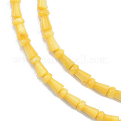 Naturali di acqua dolce perline shell fili&nbsp;SHEL-G013-02H
