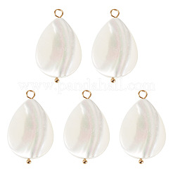 5 colgante de lágrima de concha natural&nbsp;SHEL-TA0001-37