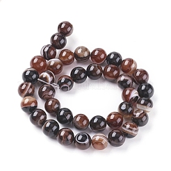 Chapelets de perles en agate à rayures naturelles/agates à bandes&nbsp;G-G582-10mm-45