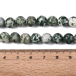 Natürliche grüne Fleck Jaspis Perlen Stränge&nbsp;G-Q601-13A-07