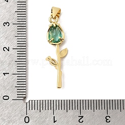 Pendentifs en laiton zircon cubique pavé&nbsp;KK-A296-50G-03