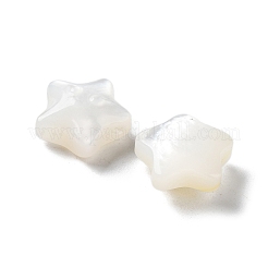 Perles de coquillage blanc naturel&nbsp;SHEL-M020-02A