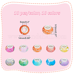 Perline europee in resina opaca 100 pz 10 colori&nbsp;RPDL-PH0001-06