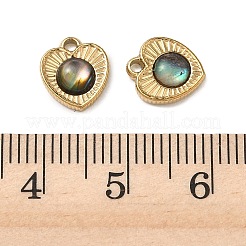 Natur Paua Muschel Anhänger&nbsp;STAS-G397-17G-02