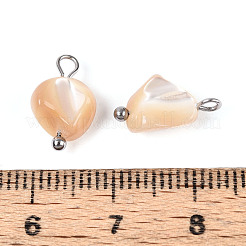 Ciondoli di pepite di conchiglia trochus naturale&nbsp;STAS-D378-36P
