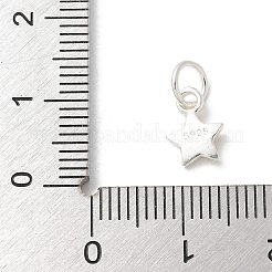 S925 Sterling Silber Anhänger&nbsp;LS-STER-H115-04B-S