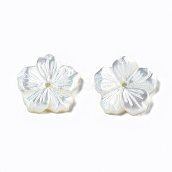 Perlas de concha de nácar de concha blanca natural&nbsp;SSHEL-T014-42A