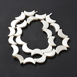 Shell perle naturali fili&nbsp;BSHE-C002-01A