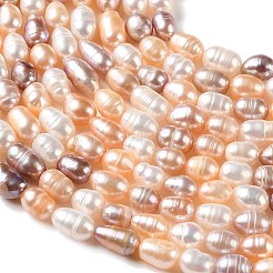 Fili di perle di perle d'acqua dolce coltivate naturali&nbsp;PA-CBABE82-01A