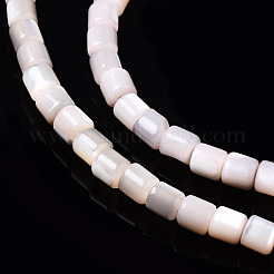 Natürliche Trochidschale / Trochusschalenperlenstränge&nbsp;SSHEL-N034-77-C05
