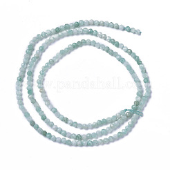 Fili di perline amazonite naturale&nbsp;G-F596-01-3mm