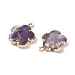 Natürlichen Amethyst Edelsteinanhänger&nbsp;G-P566-01G-04