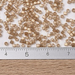 Miyuki Delica Perlen&nbsp;X-SEED-J020-DB1802