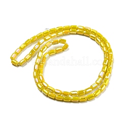 Chapelets de perles en verre&nbsp;EGLA-P052-03C-03