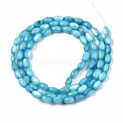 Shell perle d'acqua dolce fili&nbsp;SHEL-T009-B15