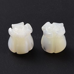 Natürliche Trochidschale / Trochusschalenperlen&nbsp;SHEL-P014-01