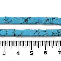 Kunsttürkisfarbenen Perlen Stränge&nbsp;G-F762-A01-01