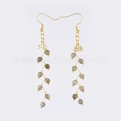 Natur Labradorit Ohrringe&nbsp;EJEW-JE03634-01