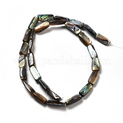 Natur Paua Muschel Perlen Stränge&nbsp;SHEL-G014-09