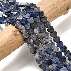 Natur Sodalith Perlen Stränge&nbsp;G-A272-A01-31