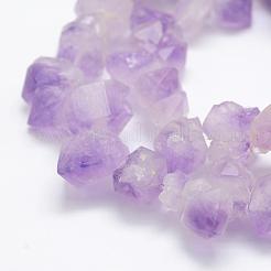 Natürlichen Amethyst Perlen Stränge&nbsp;G-P322-09