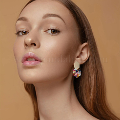 20 paire de boucles d'oreilles pendantes en acrylique de 10 styles&nbsp;EJEW-FI0001-64