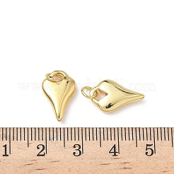 Messing Anhänger & Charms&nbsp;KK-L243-09G