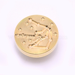 Messingwachs-Siegelstempelkopf, für die DIY-Kartenherstellung nach der Dekoration, Konstellation / Sternbild, Licht Gold, Wassermann, 25.5x14.5 mm, Bohrung: 7 mm