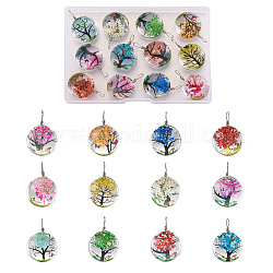 Craftdady 12Pcs Transparent Glass Pendants, with Dried Flower inside and Stainless Steel Finding, Flat Round, Mixed Color, 20x12.5mm, Hole: 4.5mm