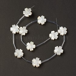 Natural White Shell Mother of Pearl Shell Beads, Peach Blossom, Creamy White, 13x13x5mm, Hole: 0.7mm, about 10pcs/strand, 12.60''(32cm)