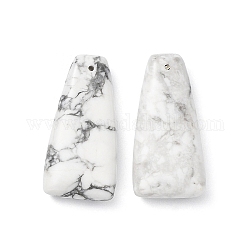 Natural Howlite Pendants, Trapezoid Charms, 39.5~40x20~20.5x8~8.5mm, Hole: 1.4mm