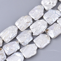Perle baroque naturelle perles de perles de keshi, perle de culture d'eau douce, rectangle, couleur de coquillage, 22~31x18~22x4~11mm, Trou: 0.6mm, Environ 16~18 pcs/chapelet, 15.75 pouce (40 cm)