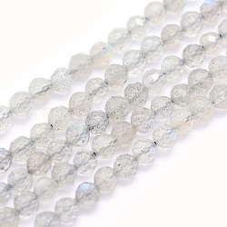 Natural Labradorite Beads Strands, Round, Faceted, 3mm, Hole: 0.5mm, about 117~130pcs/strand, 15.3 inch(39cm)