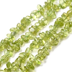 Natürlichen Peridot Perlen Stränge, Chip, Klasse A, Olive, 3~5x7~13x2~4 mm, Bohrung: 0.4 mm, 16 Zoll.