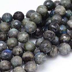 Natural Labradorite Round Bead Strands, Faceted, 16mm, Hole: 1mm, about 25pcs/strand, 16 inch