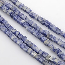 Fili di perle di diaspro spot blu cubo naturale, 4x4x4mm, Foro: 1 mm, circa 85~100pcs/filo, 15.3 pollice~15.8 pollici