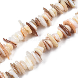 Natural Freshwater Shell Beads Strands, Chips, Seashell Color, 0.4~4x6.5~20x4.5~8.5mm, Hole: 0.7~0.8mm, about 301~340pcs/strand, 30.94 inch~32.36 inch(78.6cm~82.2cm)
