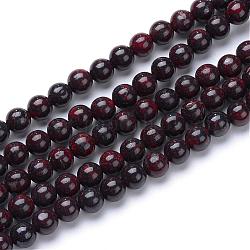 Perline Bloodstone naturale fili, perle di pietra eliotropio, tondo, 6mm, Foro: 1 mm, circa 60~63pcs/filo, 15.7 pollice