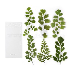 6 adesivo decorativo per piante autoadesive per animali domestici, decalcomanie floreali vintage impermeabili, per scrapbooking diy, verde, 164~201x84~103x0.1mm