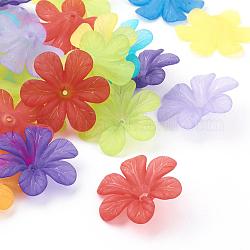 Transparent Acrylic Beads, Frosted, Flower Bead Caps, Mixed Color, 30x8mm, Hole: 1.5~2mm, about 314pcs/500g