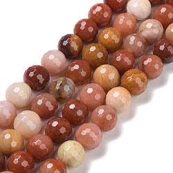 Chapelets de perles en bois pétrifié naturel, facetté (128 facettes), ronde, 10mm, Trou: 1.2mm, Environ 37 pcs/chapelet, 14.96'' (38 cm)
