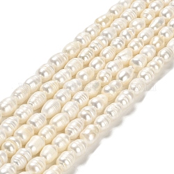 Brins de perles de culture d'eau douce naturelles, riz, grade AB, blanc, 8~12x6~7mm, Trou: 0.7mm, Environ 37 pcs/chapelet, 12.60'' (32 cm)
