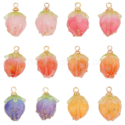 Olycraft 12Pcs 6 Colors Opaque Acrylic Charms, with Golden Plated Brass Finding, Strawberry, Mixed Color, 14x10x9.5mm, Hole: 1.5mm, 2pcs/color