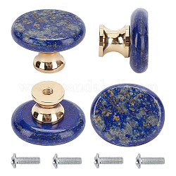 Boutons de tiroir en lapis lazuli naturel, poignée de tirage de tiroir de forme ovale, vis de fer, Pour la maison, cabinet, armoire et commode, platine et d'or, 27x23x18mm