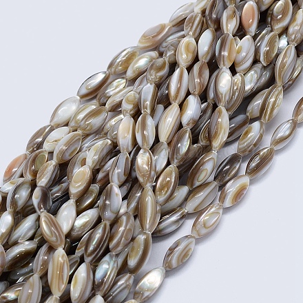 Brins de perles de coquillage naturel teint BSHE-E023-04A-1