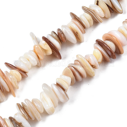 Eau douce naturelle de coquillage perles brins SHEL-S278-071D-1