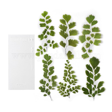 6 шт. самоклеющиеся декоративные наклейки для растений AJEW-Q146-01A-1