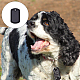 Superfindings 16 set kit pendenti targhette per cani vuoti con silenziatore targhetta per cani in silicone nero stampaggio a forma di scudo 2 lunghezze 304 catene a sfera in acciaio inossidabile DIY-FH0005-15-5